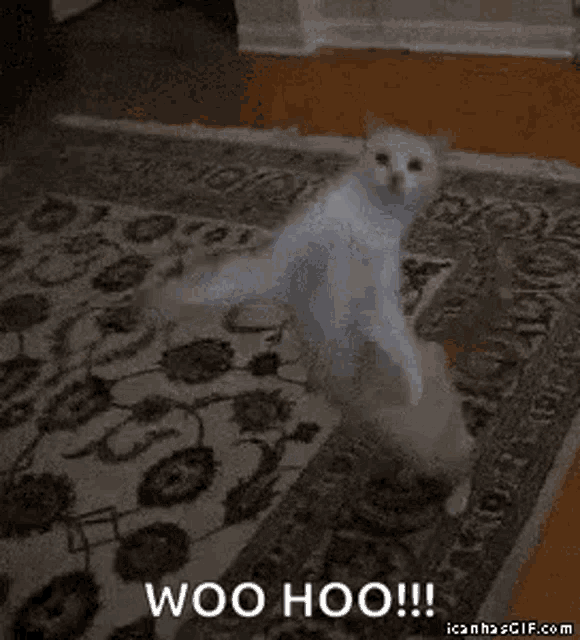 a ghost is dancing on a rug in a living room with the words woo hoo .