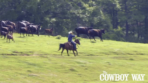 Horseback Riding Cody Harris GIF - Horseback Riding Cody Harris The Cowboy Way GIFs