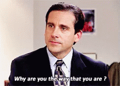 theoffice-why-are-you-the-way-that-you-are.gif