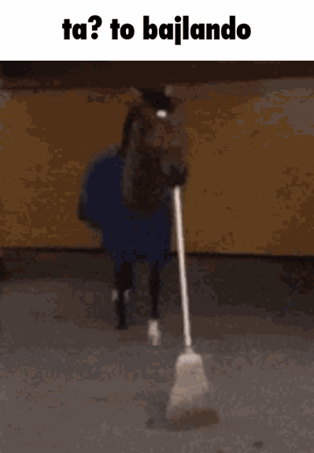 Bajlando Horse With Broom GIF - Bajlando Horse With Broom GIFs