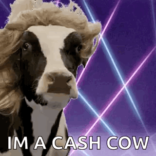 Cow Look At Me GIF - Cow Look At Me Windy GIFs