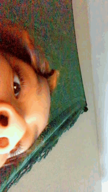 a close up of a person 's face with a green cloth in the background