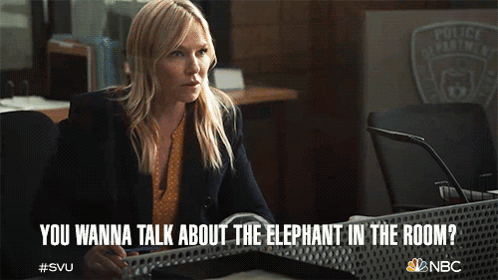 You Wanna Talk About The Elephant In The Room Detective Amanda Rollins GIF - You Wanna Talk About The Elephant In The Room Detective Amanda Rollins Kelli Giddish GIFs
