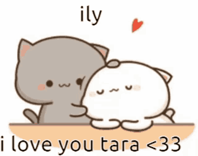 a cartoon cat and a white cat are sitting next to each other and the cat is saying i love you tara < 33 .