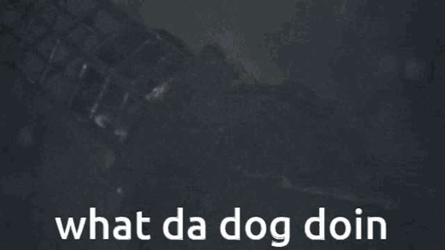 a black and white photo with the words what da dog doin