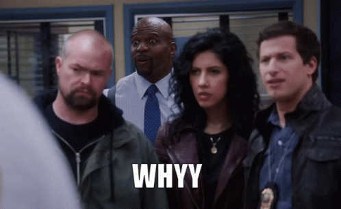 Why Whyy GIF - Why Whyy Terry GIFs