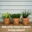 Plant Add Coffee Filters To Plants GIF - Plant Add Coffee Filters To Plants GIFs