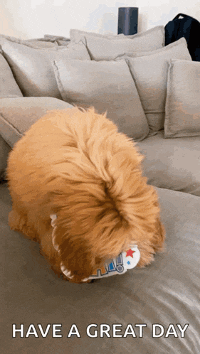 a brown dog is laying on a couch with the words have a great day written below it