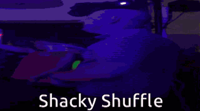 Osn Shacky GIF - Osn Shacky Shackyshuffle GIFs