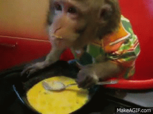 Monkey Soup GIF