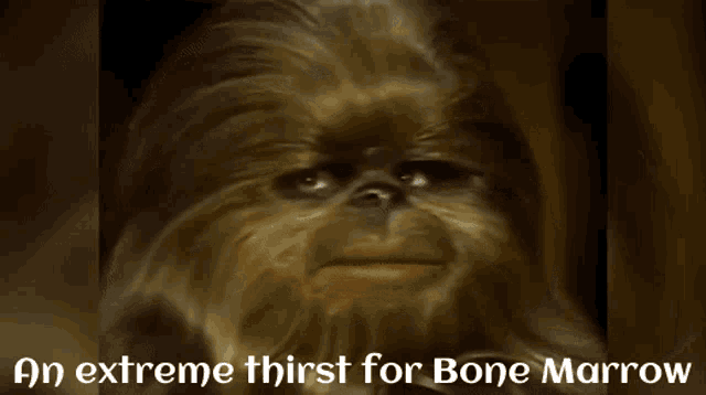 a picture of chewbacca with the words an extreme thirst for bone marrow