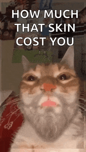 a cat with a beard is making a funny face and asking how much that skin cost you .