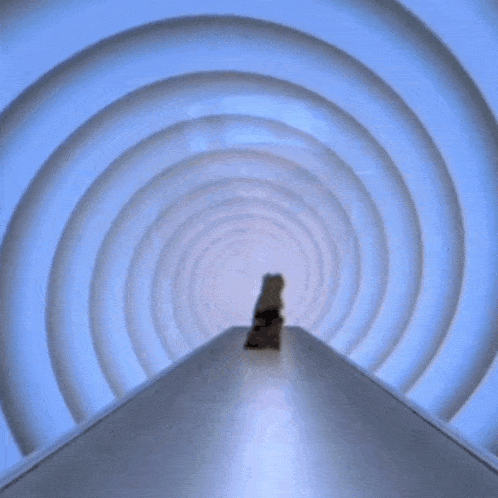 a teddy bear is standing in the middle of a blue spiral