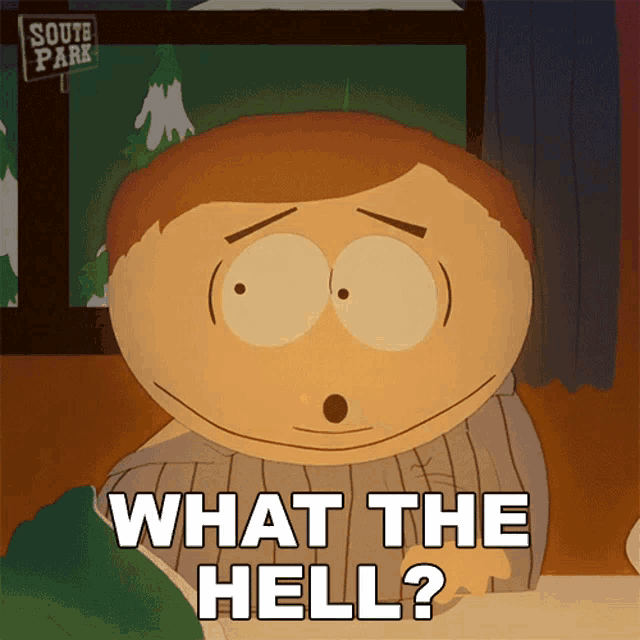 a cartoon character from south park asking what the hell