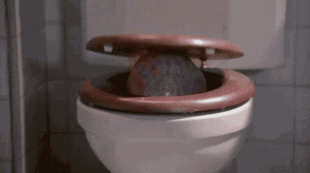 a toilet with the lid up and a dirty object in the seat