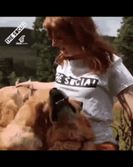 Yes Dogs GIF - Yes Dogs Cute GIFs