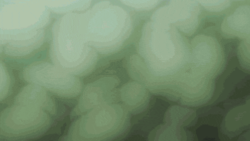 a blurry picture of a person 's face behind a green background .