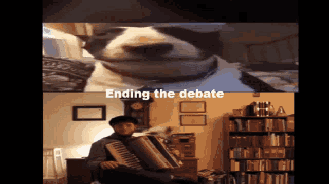 Dog Doge GIF