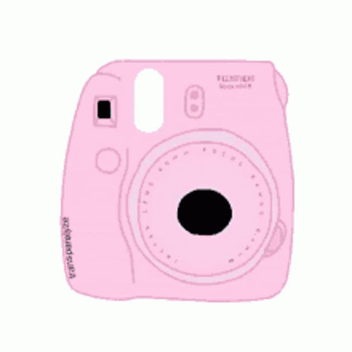 Polaroid Camera GIF
