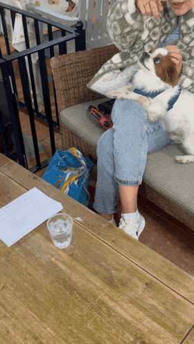 a person sitting on a couch petting a dog