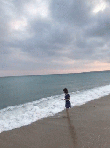 Beach Ocean Waves GIF - Beach Ocean Waves GIFs