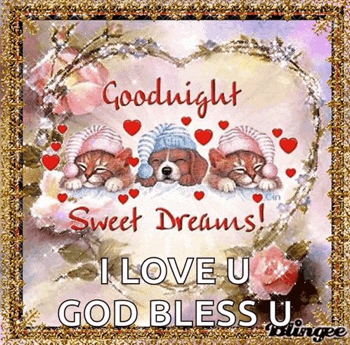a greeting card that says goodnight sweet dreams i love you god bless u