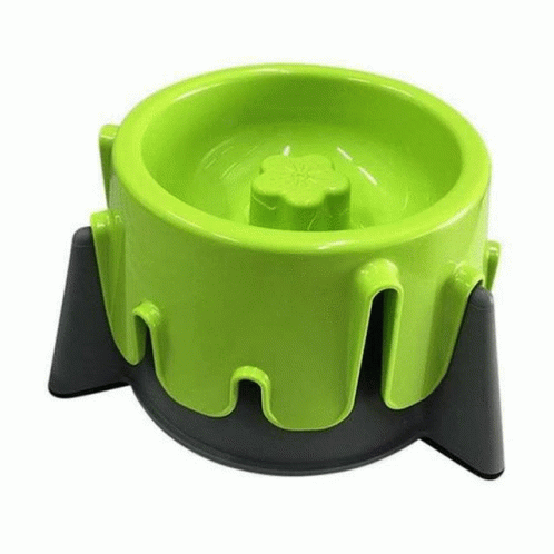 Custom Bowls For Dogs GIF - Custom Bowls For Dogs GIFs