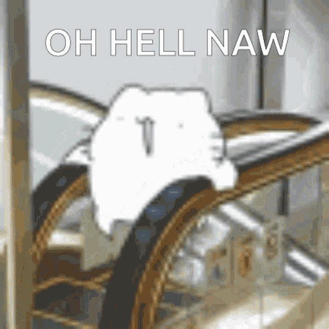 a white cat is sitting on an escalator and the words oh hell naw are above it