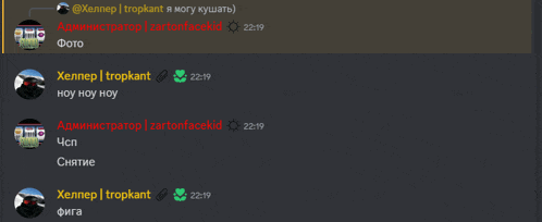 a screenshot of a discord conversation between xelnep tropkant and cartonfacekid