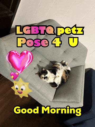 a picture of a cat laying on a couch with the words lgbtq petz pose 4 u above it