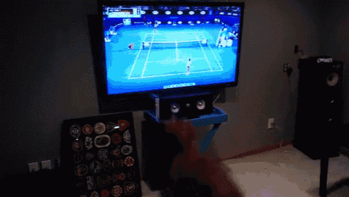 a tennis game is being played on a tv screen