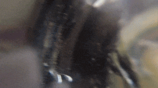 a close up of a blurred image of a person 's face