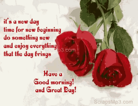 a greeting card with red roses and the words " it 's a new day "