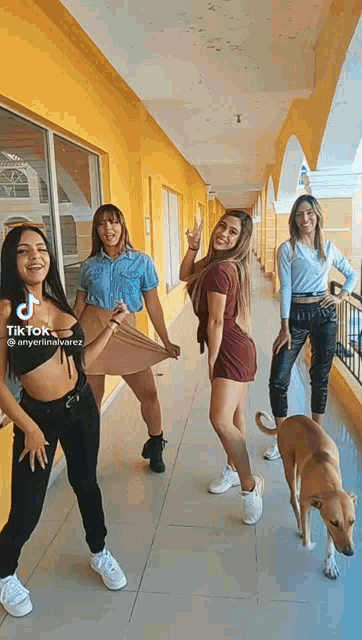 a group of women are posing for a picture with a dog in the background .