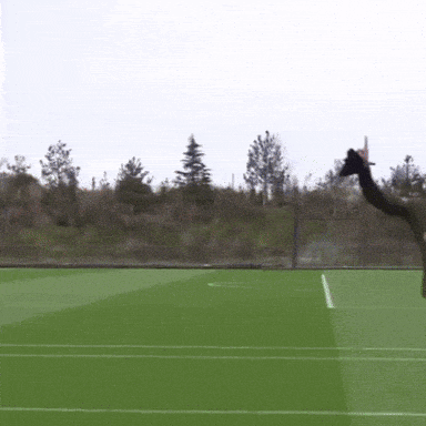 a man in a qatar shirt is running on a field