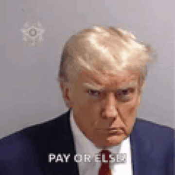 Trump GIF - Trump GIFs