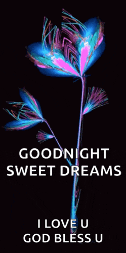 a colorful flower with the words goodnight sweet dreams i love u god bless u below it