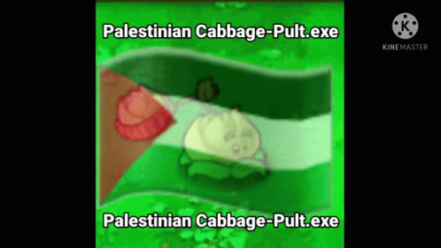 Palestine Cabbage Pult GIF - Palestine Cabbage Pult GIFs