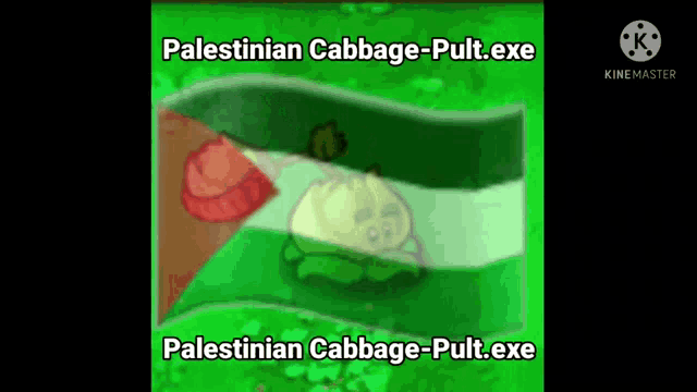 a cartoon of a cabbage with the words palestinian cabbage-pult.exe and palestinian cabbage-pult.exe .