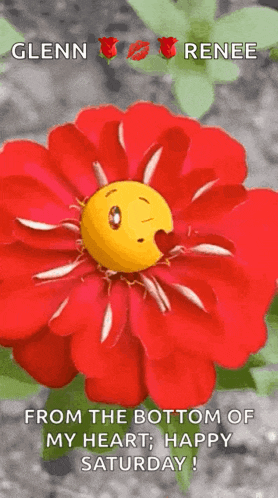 a red flower with a yellow smiley face on it