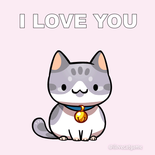 I Love You Cat Love GIF - I Love You Love Love You GIFs
