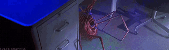 a picture of a spider with the words suave graphics on the bottom left