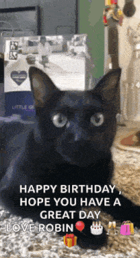 a black cat is laying on a carpet and says happy birthday hope you have a great day love robin .