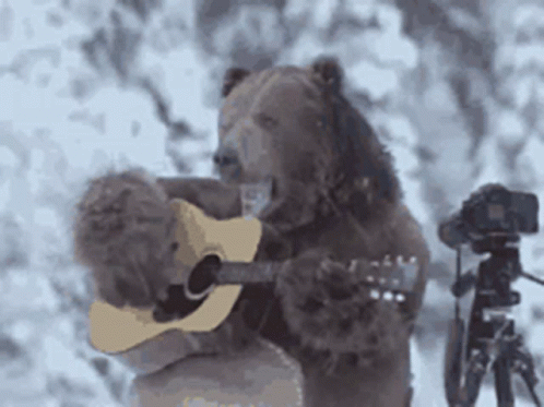 Wen Bear GIF - Wen Bear Guitar GIFs