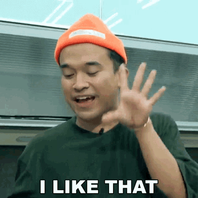 a man wearing an orange beanie and a green shirt says i like that .