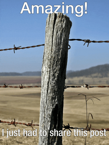 a picture of a barbed wire fence with the words amazing i just had to share this post