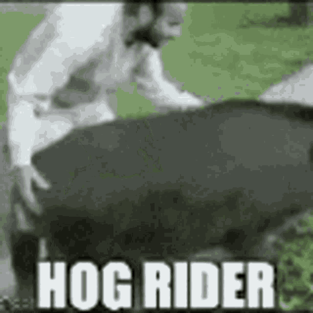 Hog Meme GIF - Hog Meme Impact GIFs