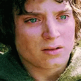 Elijah Wood Frodo GIF - Elijah Wood Frodo Crying GIFs