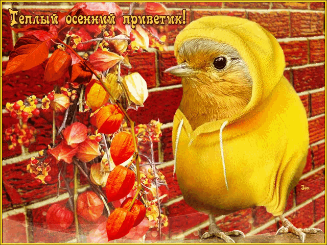 a yellow bird wearing a yellow hooded jacket is standing in front of a brick wall