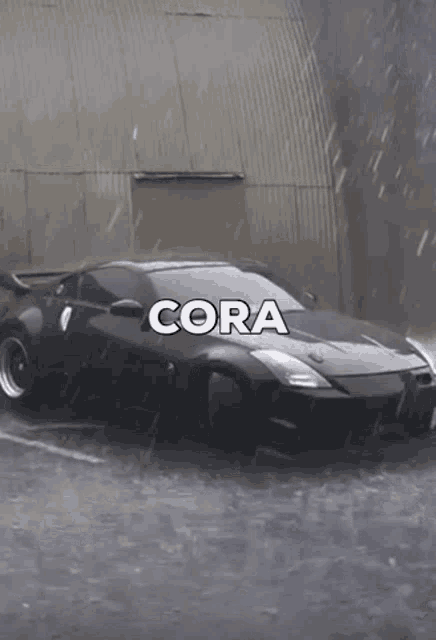 Cora Sells350z GIF - Cora Sells350z GIFs